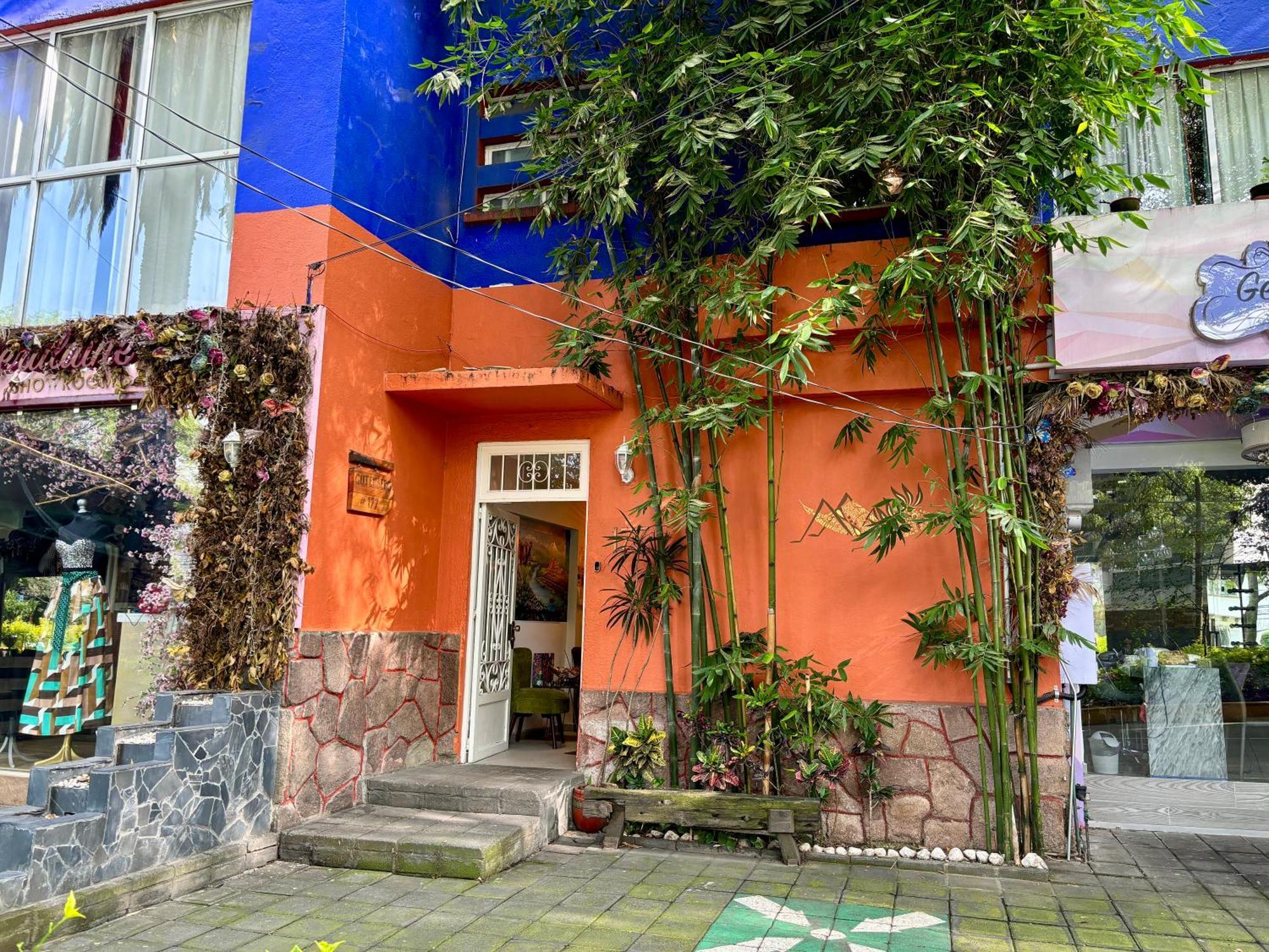 Collection O Casa Anzures Thematic, Mexico City Exterior photo